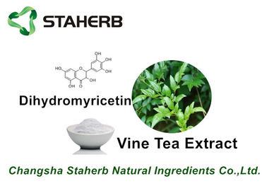 중국 덩굴 차 순수한 자연적인 식물은 Dihydromyricetin 98% 건강한 제품을 추출합니다 협력 업체